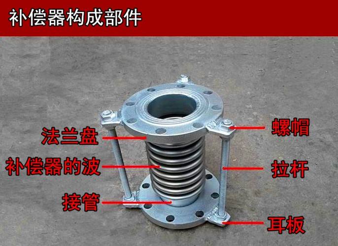 轴向波纹樱花草视频在线观看高清资源价格